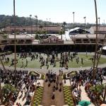 Everything You Need to Know about Breeders’ Cup ‘Future Stars Friday’ Races